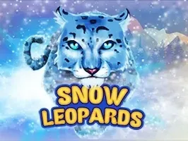 Snow Leopards